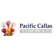 Pacific Callas
